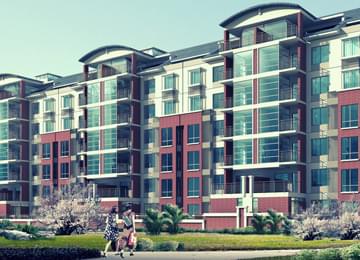 portfolio-image