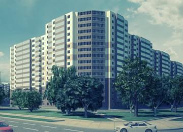 portfolio-image